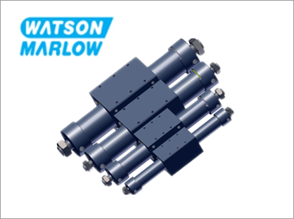 Watson Marlow流程泵