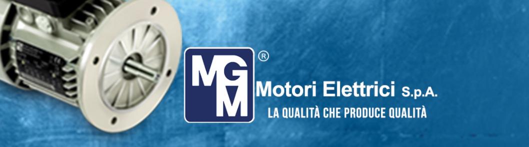 MGM电机  MGM制动器  MGM刹车电机